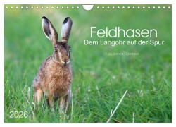 Feldhasen - dem Langohr auf der Spur (Wandkalender 2026 DIN A4 quer), CALVENDO Monatskalender - Sandra Eigenheer