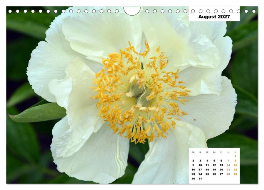 InsideView 13