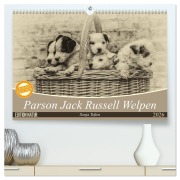 Cover-Bild zum Titel 'Parson Jack Russel Welpen (hochwertiger Premium Wandkalender 2026 DIN A2 quer), Kunstdruck in Hochglanz' von 'Sonja Teßen'