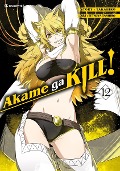 Akame ga KILL! 12 - Takahiro, Tetsuya Tashiro