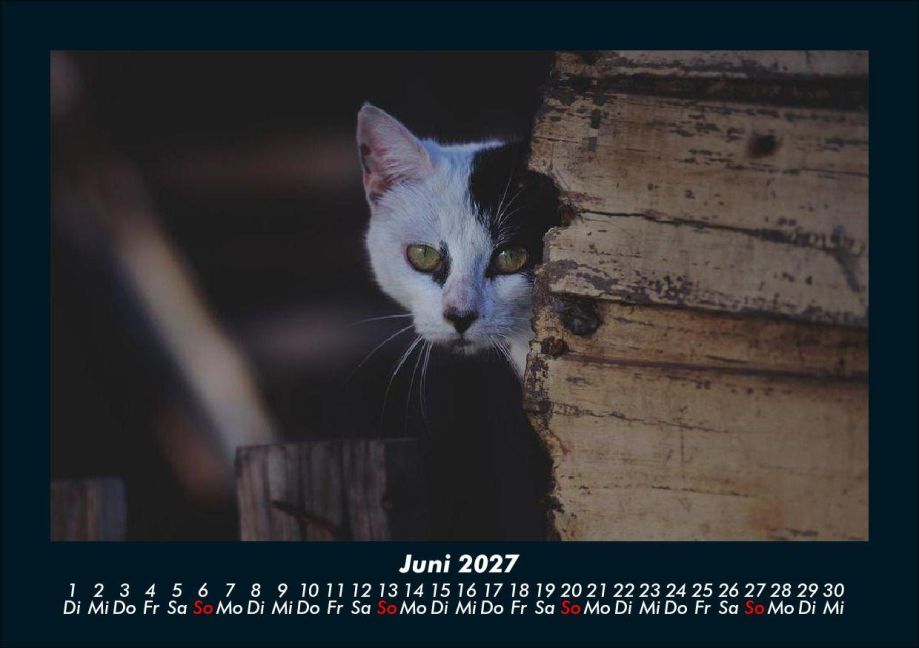 InsideView 10