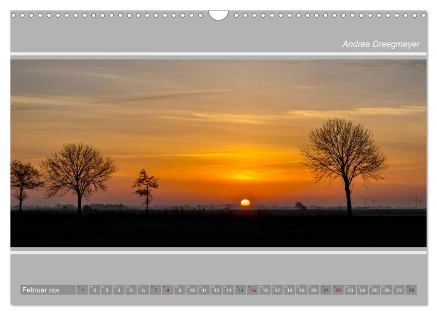 InsideView 7