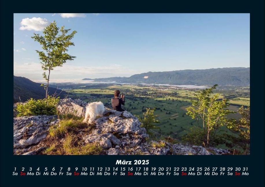 InsideView 7