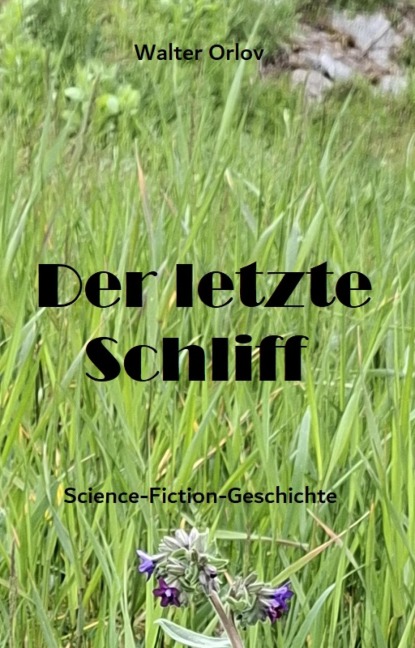 Der letzte Schliff - Walter Orlov