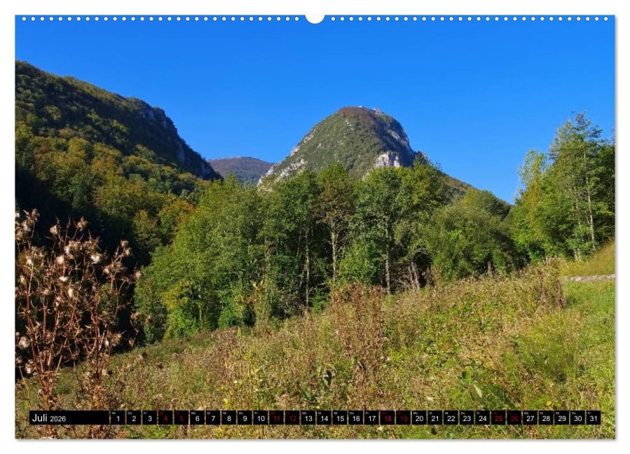 InsideView 12