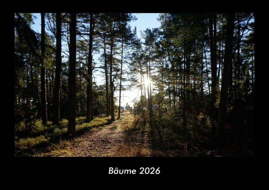 Bäume 2026 Fotokalender DIN A3 - Tobias Becker