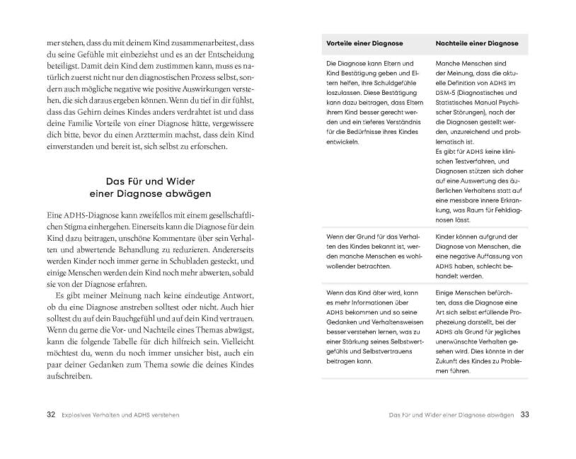 InsideView 6