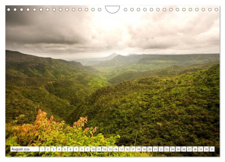 InsideView 13