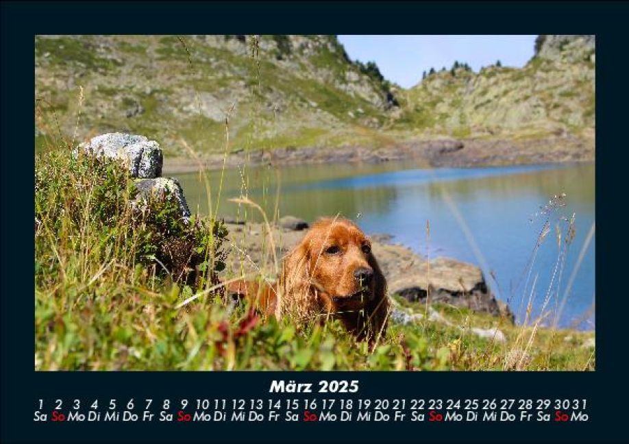 InsideView 7