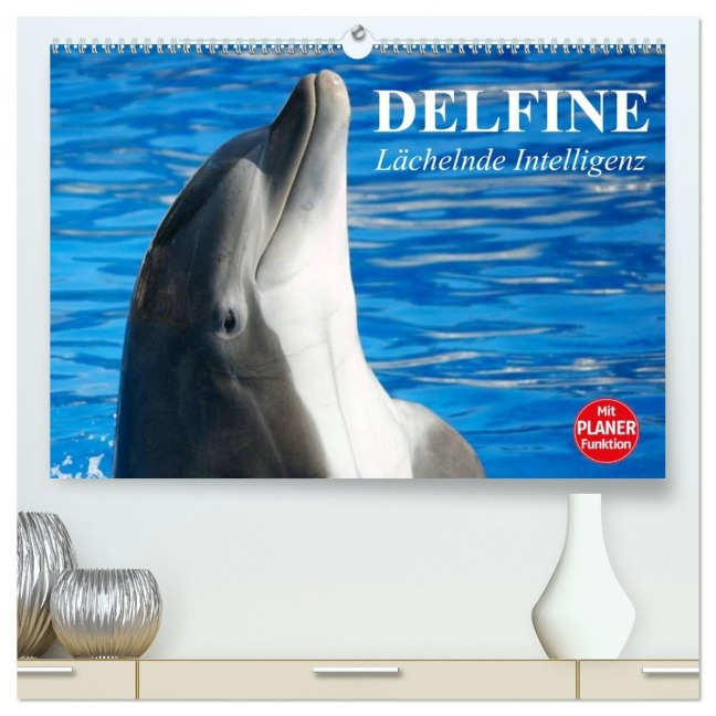 Delfine - Lächelnde Intelligenz (hochwertiger Premium Wandkalender 2026 DIN A2 quer), Kunstdruck in Hochglanz - Elisabeth Stanzer