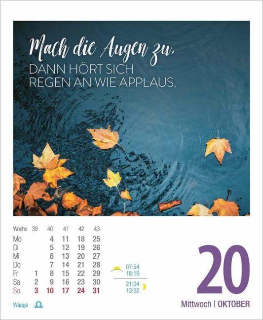 InsideView 13