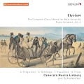 Cover-Bild zum Titel 'Elysium-Die Werke für Männerchor Vol.5' von 'C. /Schumacher/Camerata Musica Limburg Pr'gardien'