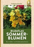 Cover-Bild zum Titel 'Sommerblumen' von 'Wolfgang Kawollek'