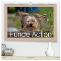 Hunde Action (hochwertiger Premium Wandkalender 2024 DIN A2 quer), Kunstdruck in Hochglanz - Wiebke von der Heyde