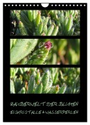 ZAUBERWELT DER BLUMEN - EISKRISTALLE & WASSERPERLEN (Wandkalender 2026 DIN A4 hoch), CALVENDO Monatskalender - Hinter-Dem-Horizont-Media. Net Tanja & Bernhard Kiesow