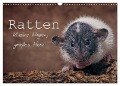 Ratten. Kleine Nager, großes Herz. (Wandkalender 2025 DIN A3 quer), CALVENDO Monatskalender - Thorsten Nilson
