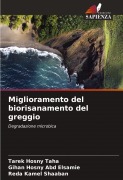 Cover-Bild zum Titel 'Miglioramento del biorisanamento del greggio' von 'Tarek Hosny Taha, Gihan Hosny Abd Elsamie, Reda Kamel Shaaban'