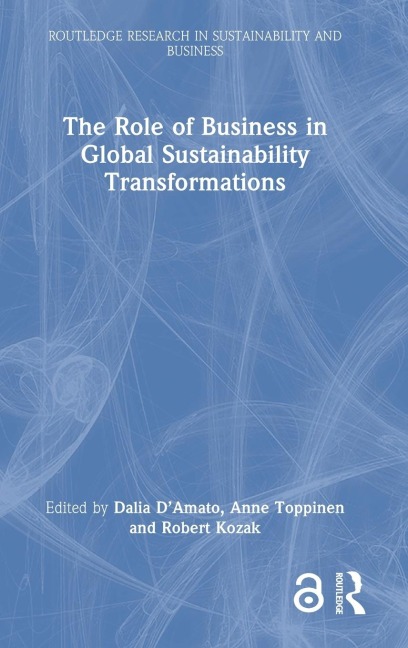 The Role of Business in Global Sustainability Transformations - 