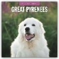 Great Pyrenees - Pyrenäenberghund 2025 - 16-Monatskalender - 