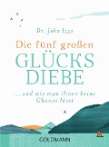 Cover-Bild zum Titel 'Die fünf großen Glücksdiebe' von 'John Izzo'