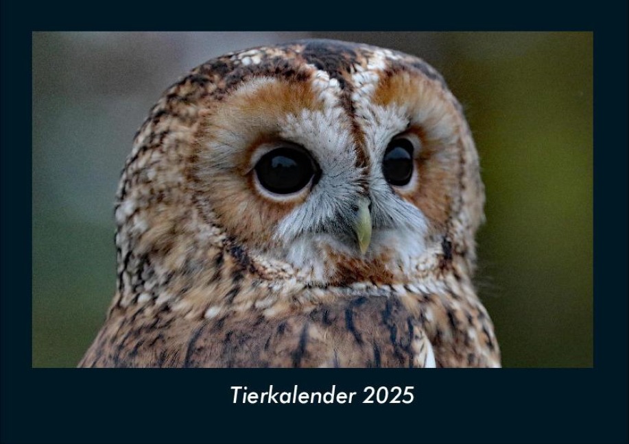 Tierkalender 2025 Fotokalender DIN A4 - Tobias Becker