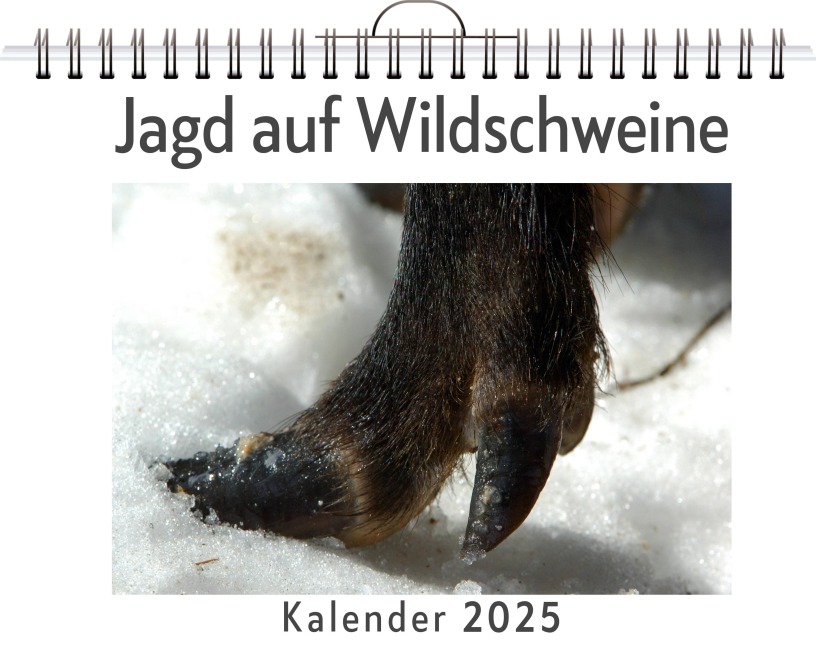 Jagd auf Wildschweine - Noah Schmid