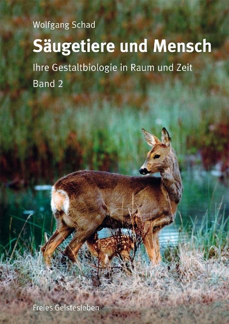 InsideView 12