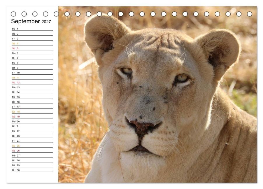 InsideView 14