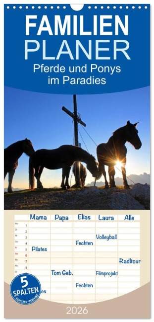 Familienplaner 2026 - Pferde und Ponys im Paradies mit 5 Spalten (Wandkalender, 21 x 45 cm) CALVENDO - Christa Kramer