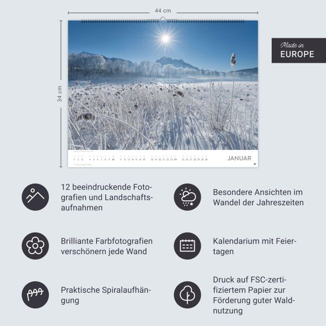 InsideView 13