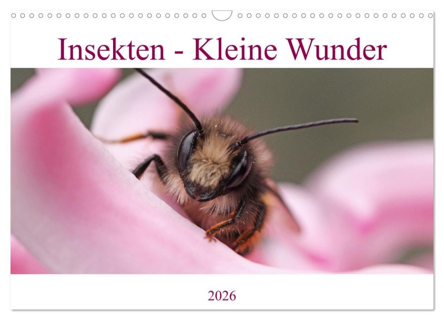 Insekten - Kleine Wunder (Wandkalender 2026 DIN A3 quer), CALVENDO Monatskalender - Christine Wirges