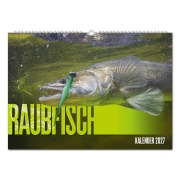 Cover-Bild zum Titel 'RAUBFISCH Edition: Kalender 2027' von ''