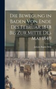 Die Bewegung in Baden von Ende des Februar 1848 bis zur Mitte des Mai 1849 - Johann Baptist Bekk