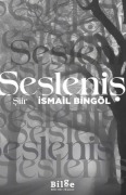 Cover-Bild zum Titel 'Seslenis' von 'Ismail Bingöl'