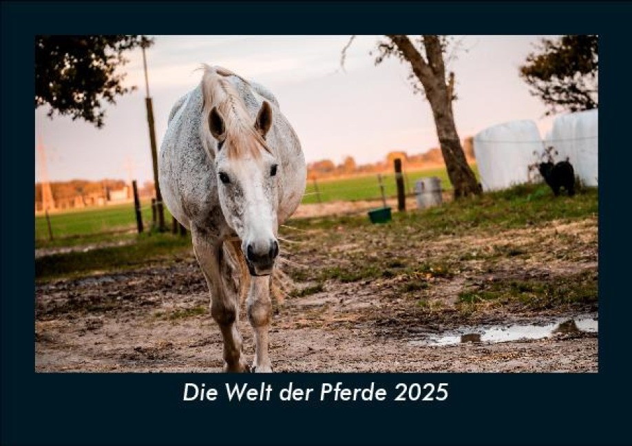 Die Welt der Pferde 2025 Fotokalender DIN A5 - Tobias Becker