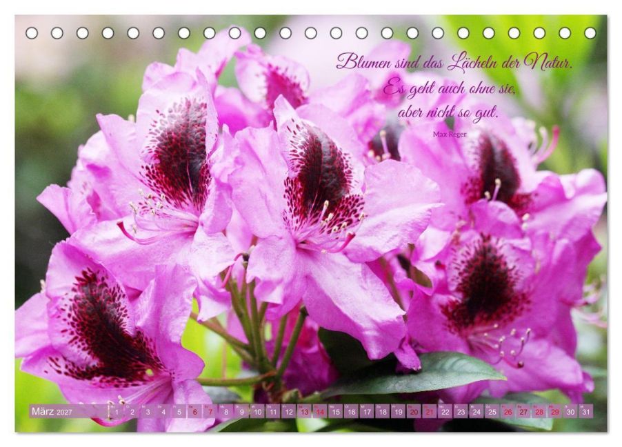 InsideView 8