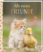 Cover-Bild zum Titel 'Freundebuch - Alle meine Freunde' von ''