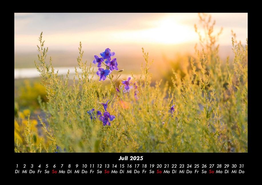 InsideView 11