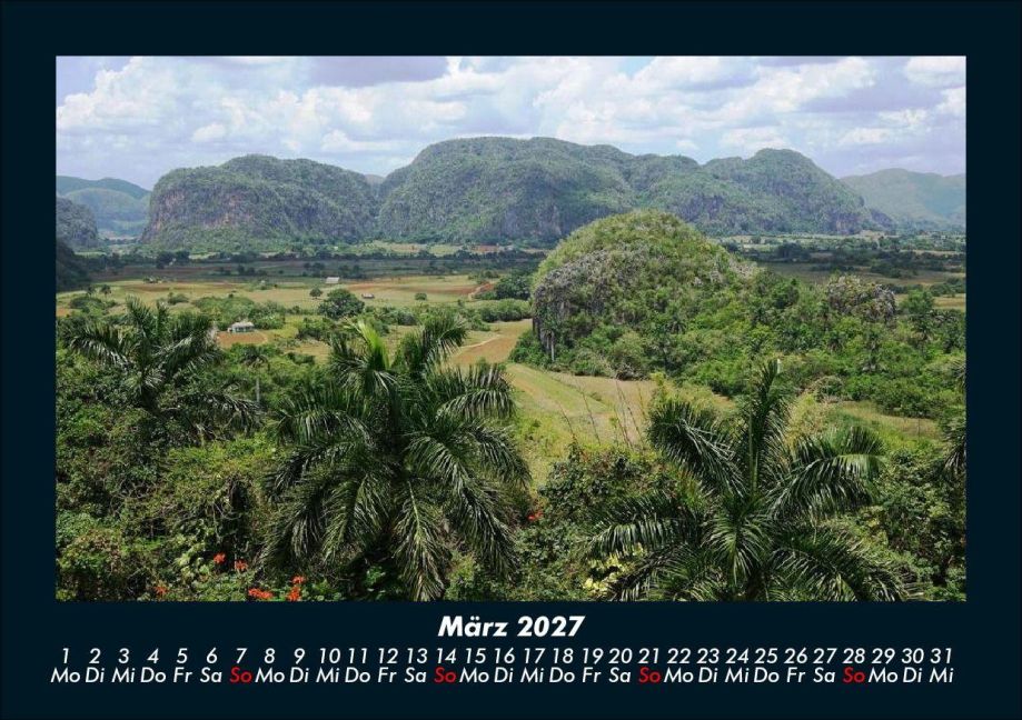 InsideView 7