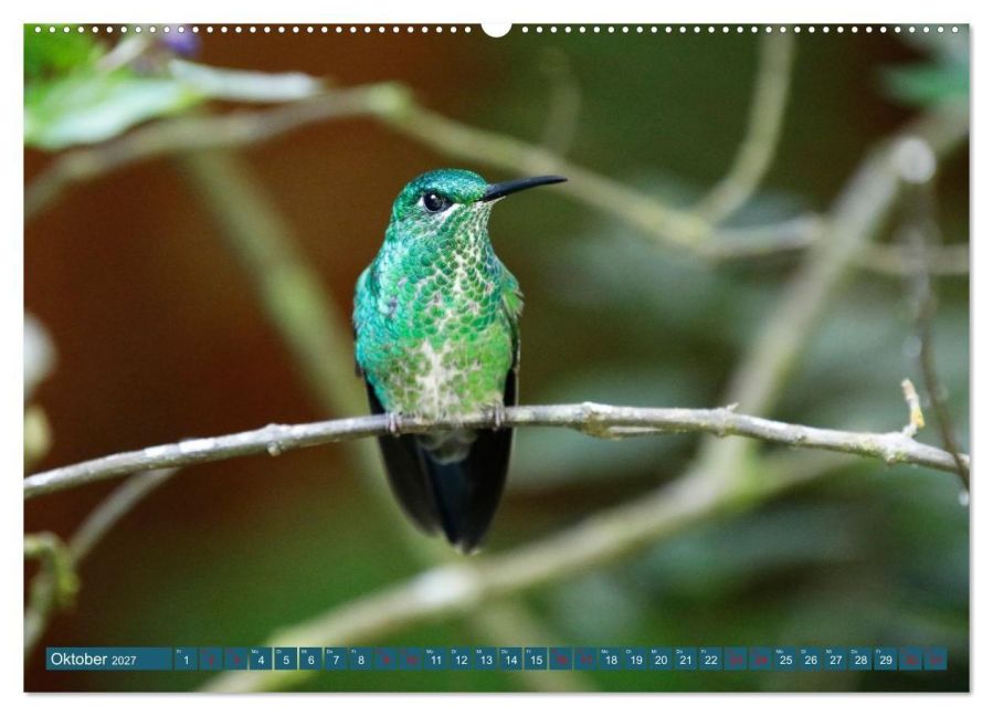InsideView 2