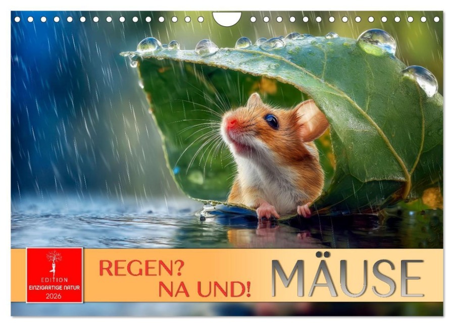 Regen? Na und! Mäuse (Wandkalender 2026 DIN A4 quer), CALVENDO Monatskalender - Peter Roder
