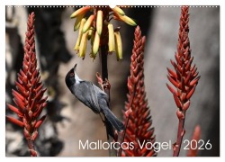 Cover-Bild zum Titel 'Mallorcas Vögel (Wandkalender 2026 DIN A2 quer), CALVENDO Monatskalender' von 'Karsten Jordan'