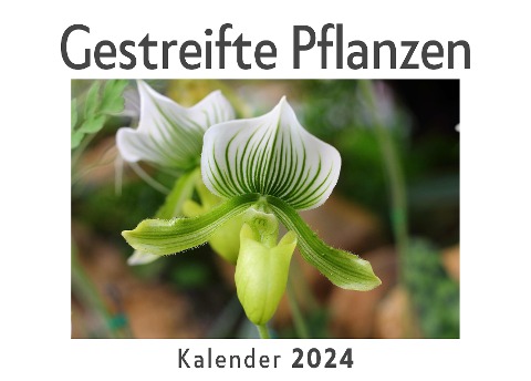 Gestreifte Pflanzen (Wandkalender 2024, Kalender DIN A4 quer, Monatskalender im Querformat mit Kalendarium, Das perfekte Geschenk) - Anna Müller