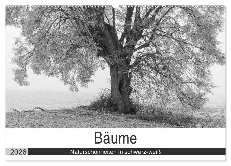 Bäume - Naturschönheiten in schwarz-weiß (Wandkalender 2026 DIN A2 quer), CALVENDO Monatskalender - Angelika Beuck