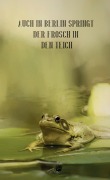 Cover-Bild zum Titel 'Auch in Berlin springt der Frosch in den Teich' von ''