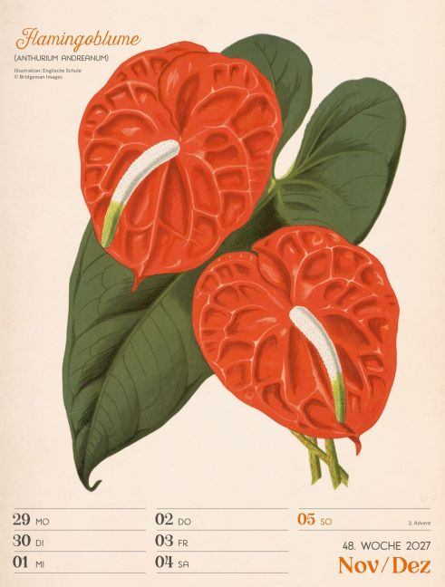 InsideView 52