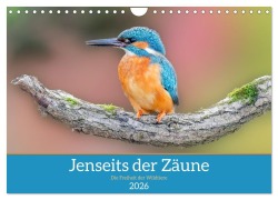 Cover-Bild zum Titel 'Jenseits der Zäune (Wandkalender 2026 DIN A4 quer), CALVENDO Monatskalender' von 'Jennifer Hetzel'