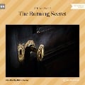 Cover-Bild zum Titel 'The Burning Secret' von 'Stefan Zweig'