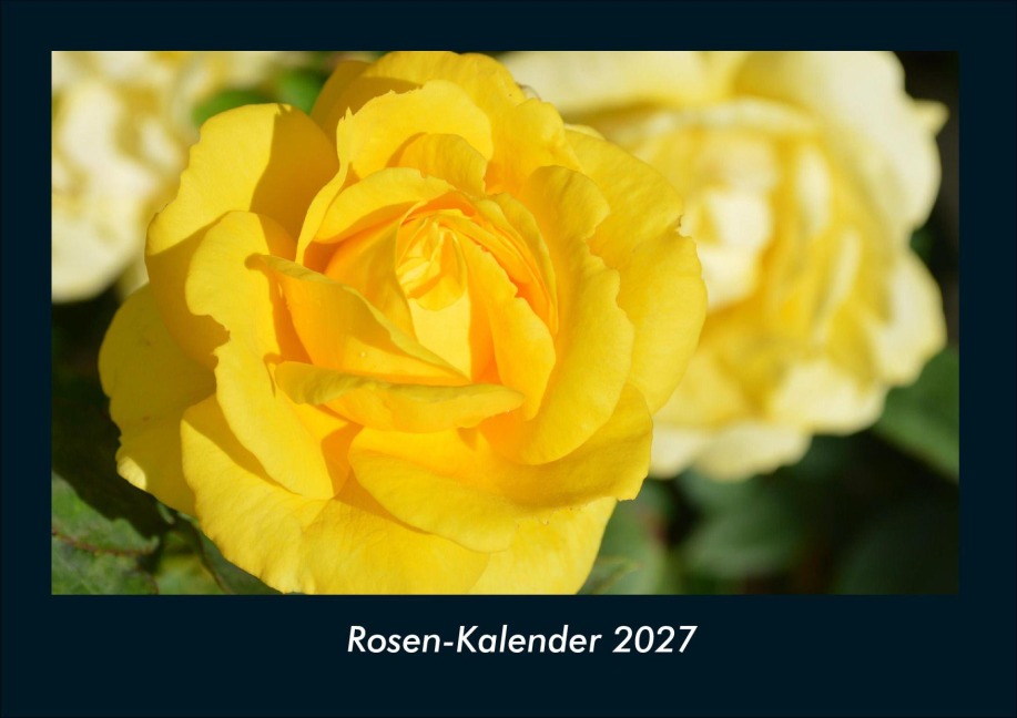 Rosen-Kalender 2027 Fotokalender DIN A4 - Tobias Schmitt, Kevin Heber