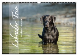 Labrador Trio - 3 Farben, 3 Freunde (Wandkalender 2026 DIN A3 quer), CALVENDO Monatskalender - Cornelia Strunz